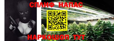 PSILOCYBIN Гусиноозёрск