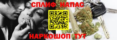 СК Гусев