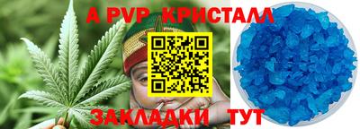 СК Гусев