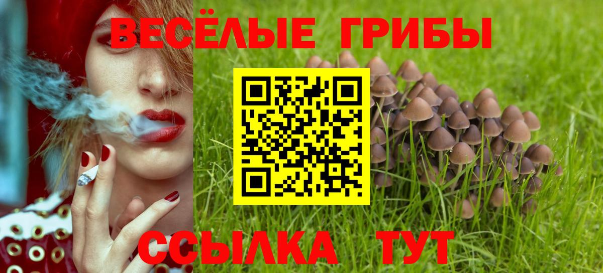 Миасс  Галлюциногенные грибы ЛСД  Вход с VPN 